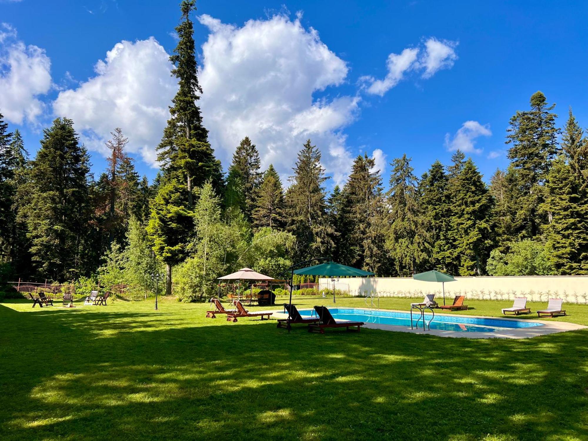 The Castle - Your Unique Way Of Retreat Borovets Eksteriør billede
